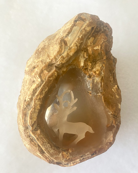 一鹿有你