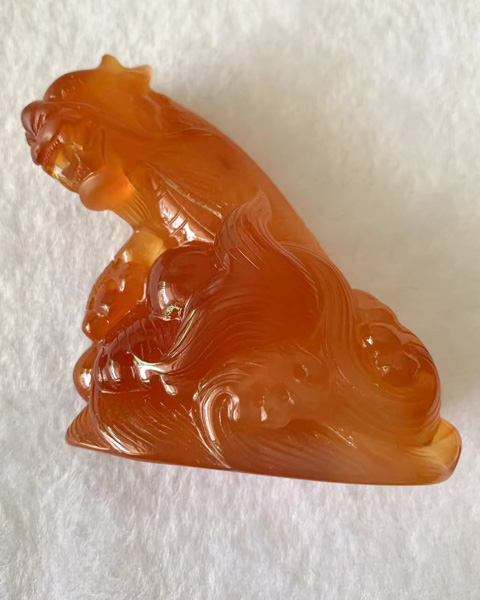 龙鱼