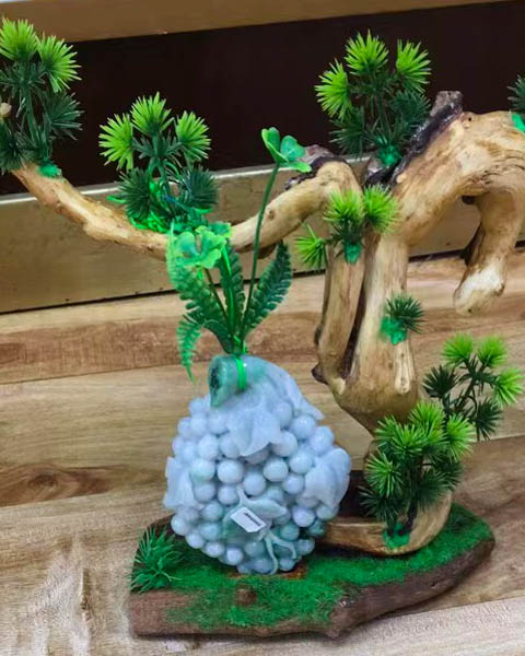 硕果累累
