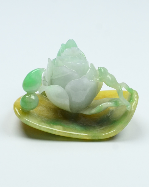 一品青莲