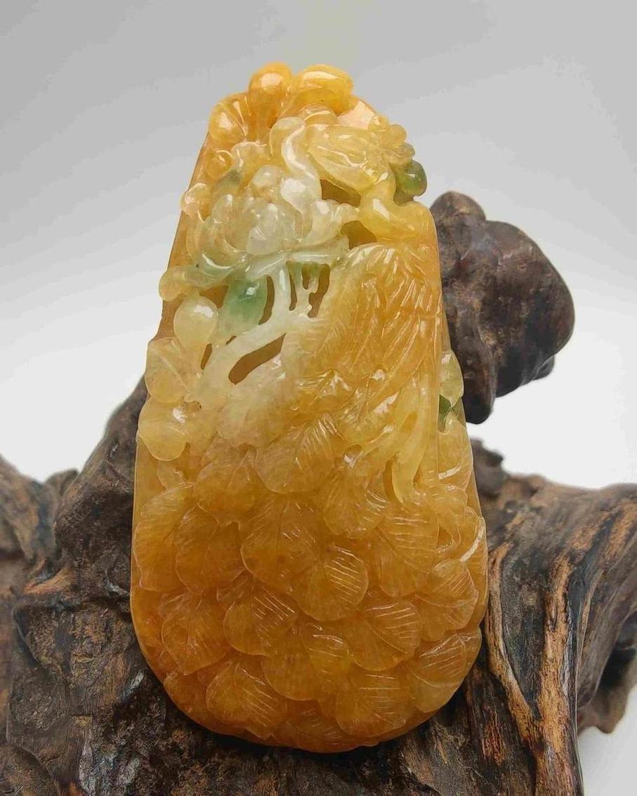凤凰来仪