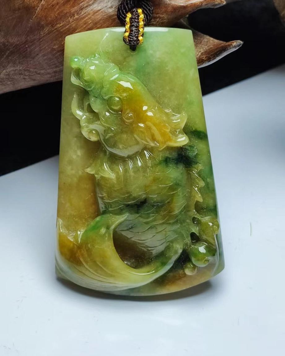 龙鱼