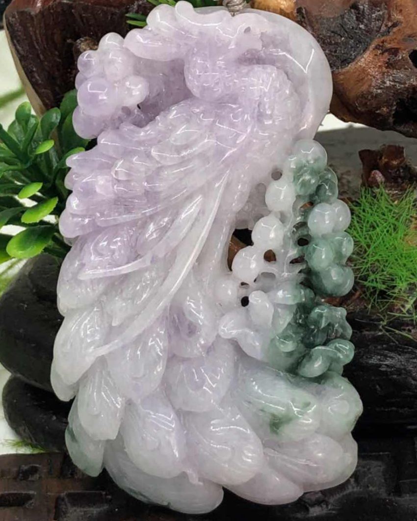君临天下