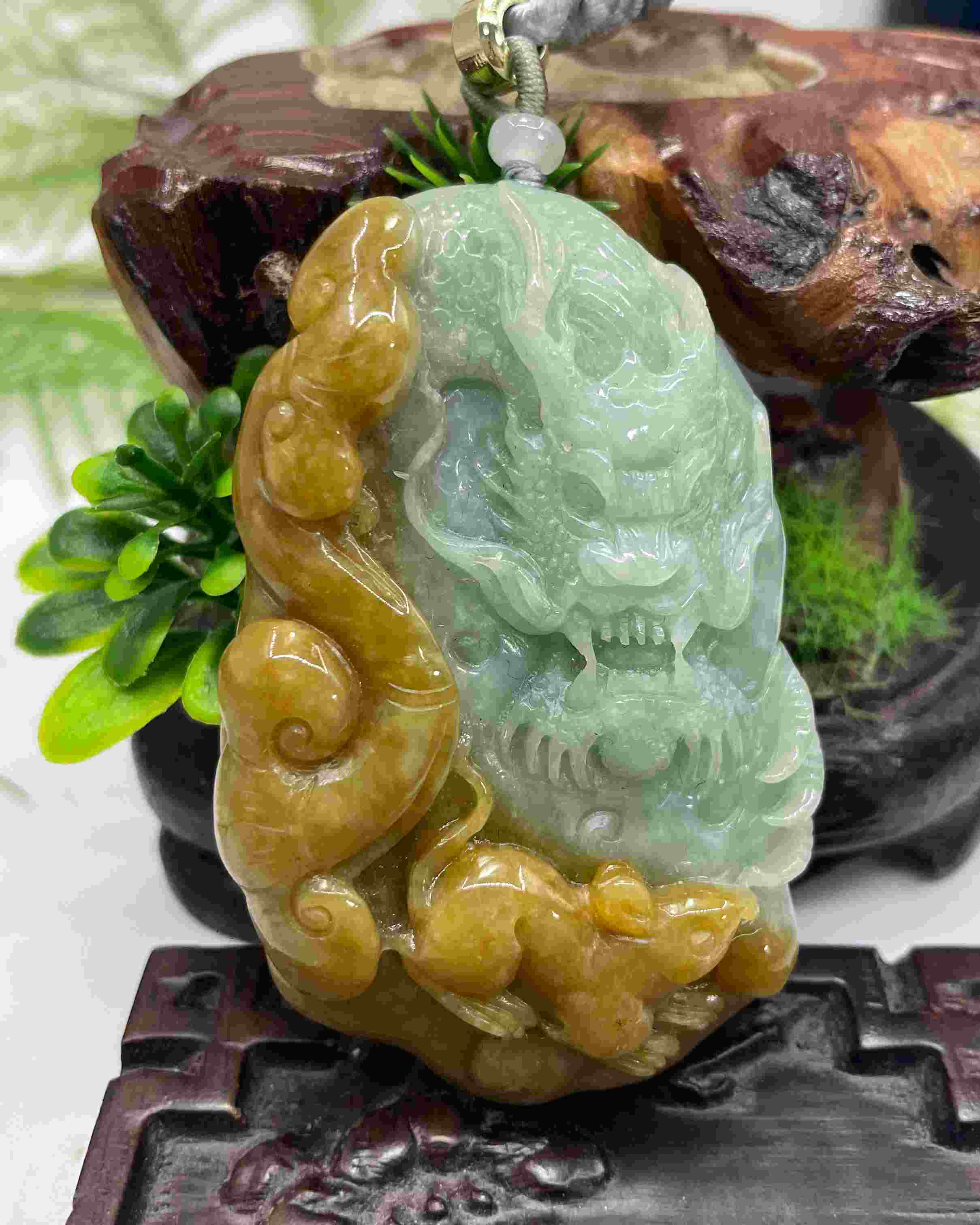 望子成龙