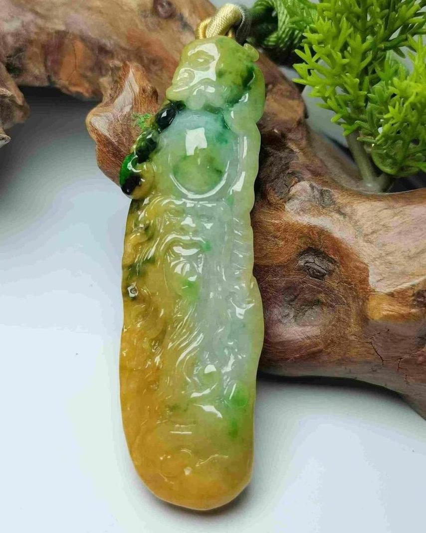 南极仙翁