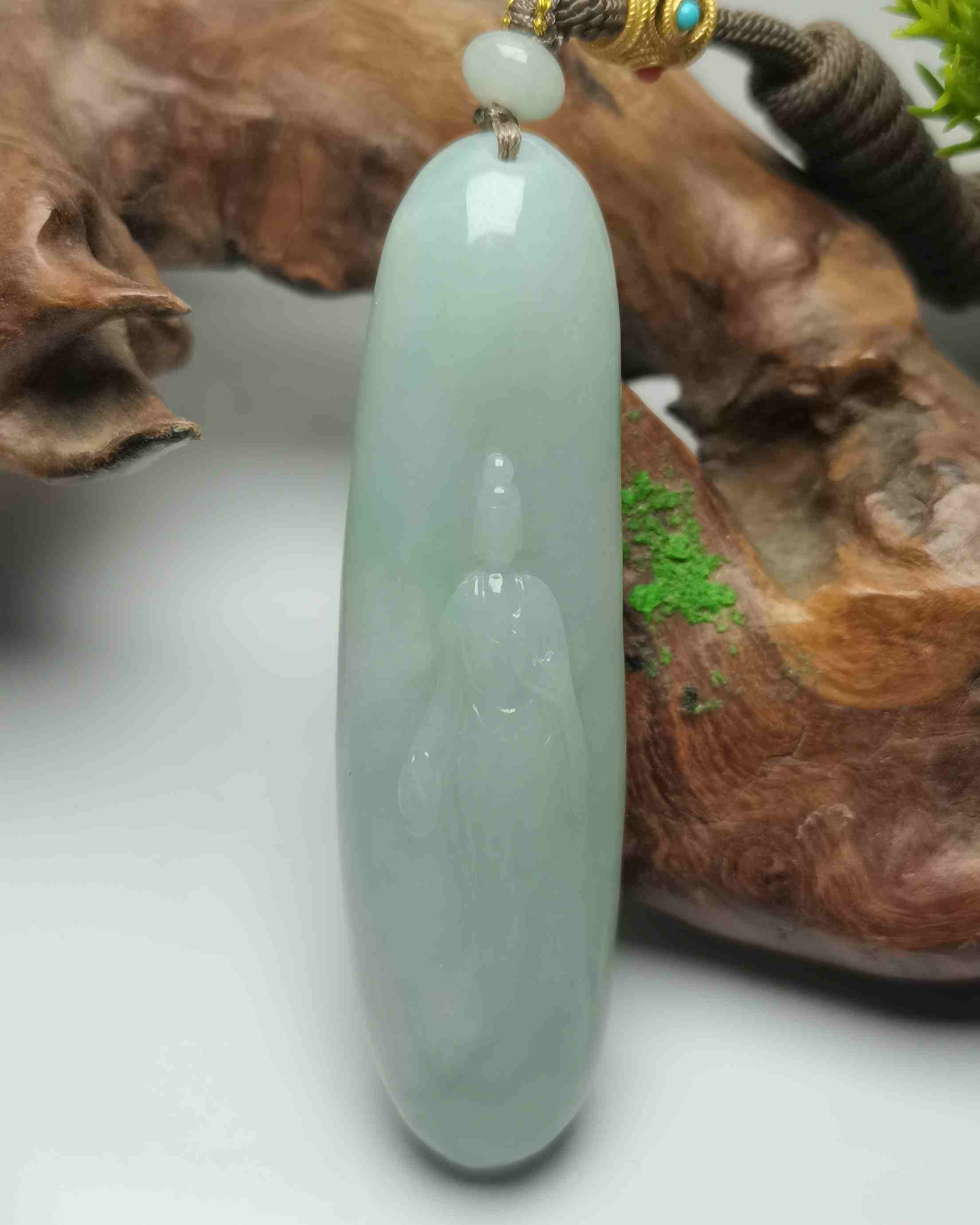 观世天下