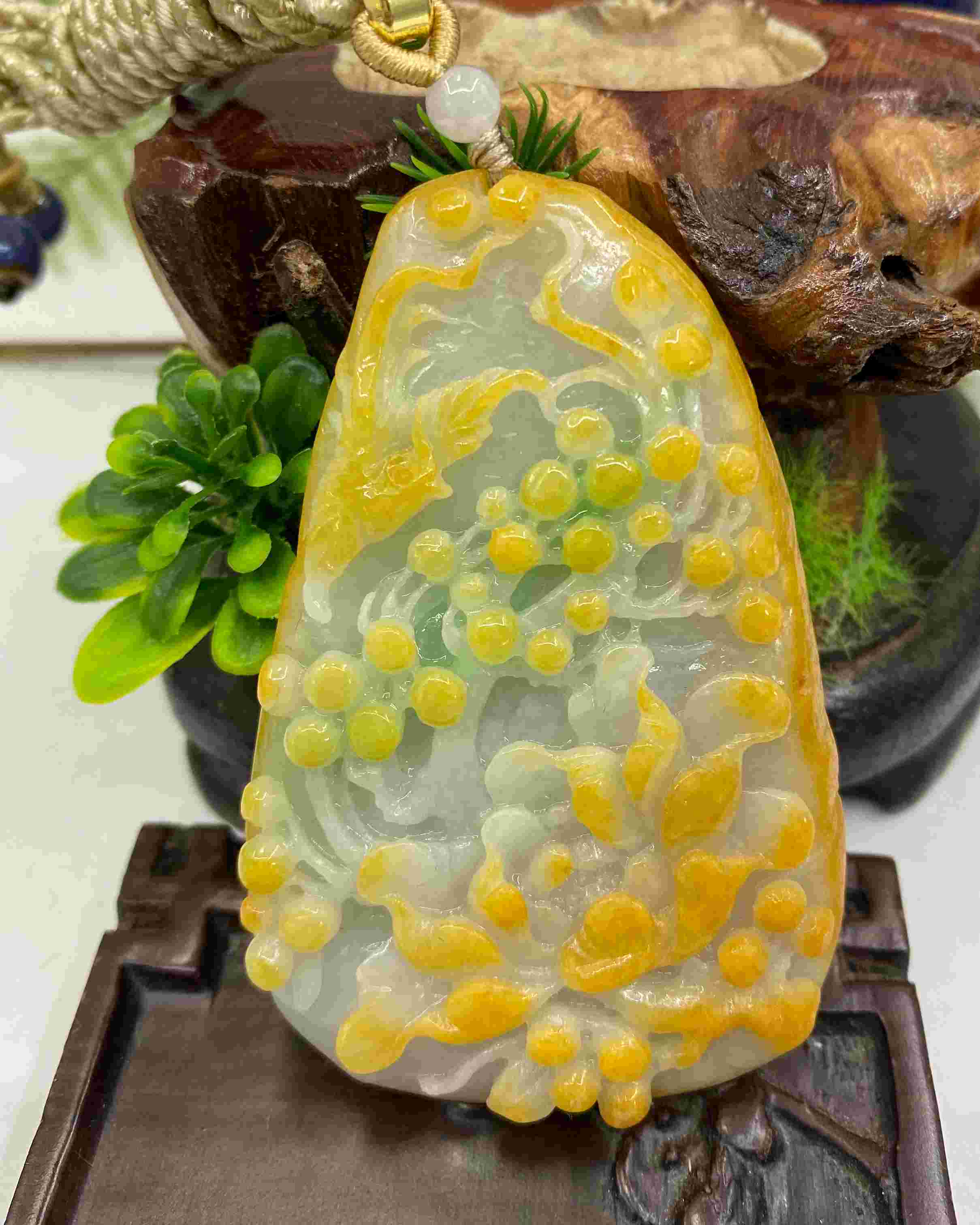 花开富贵