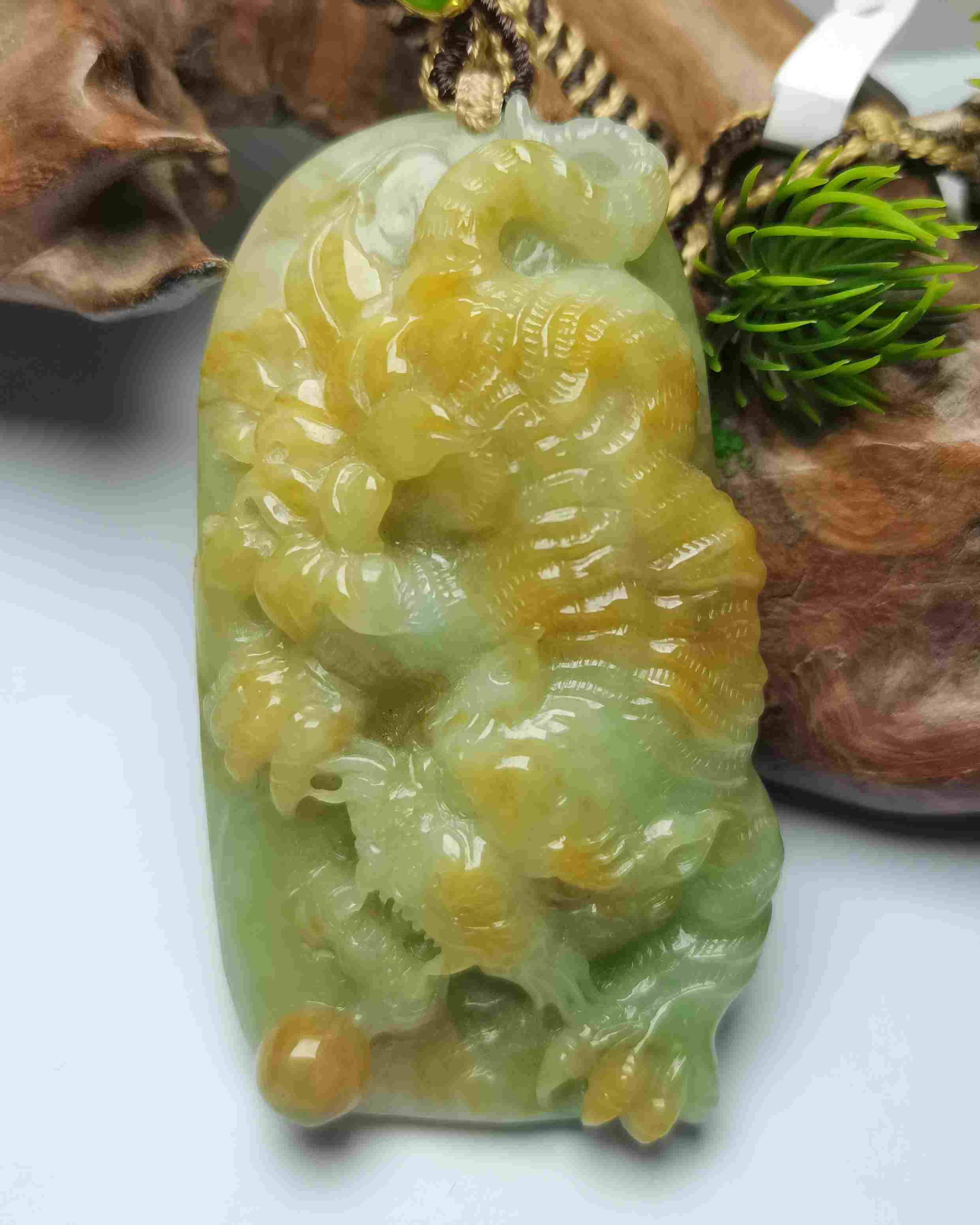 虎嗅蔷薇