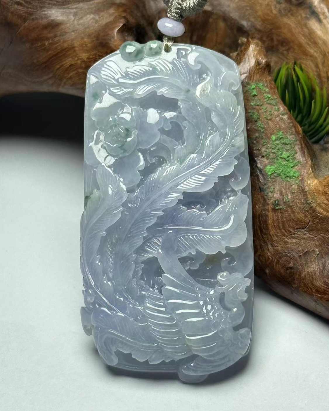 凤舞九天