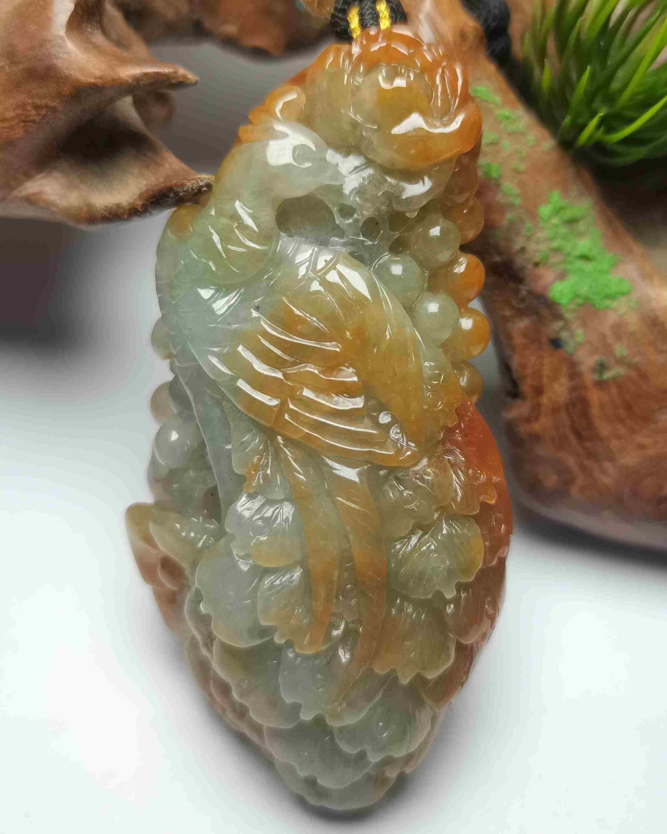 有凤来仪
