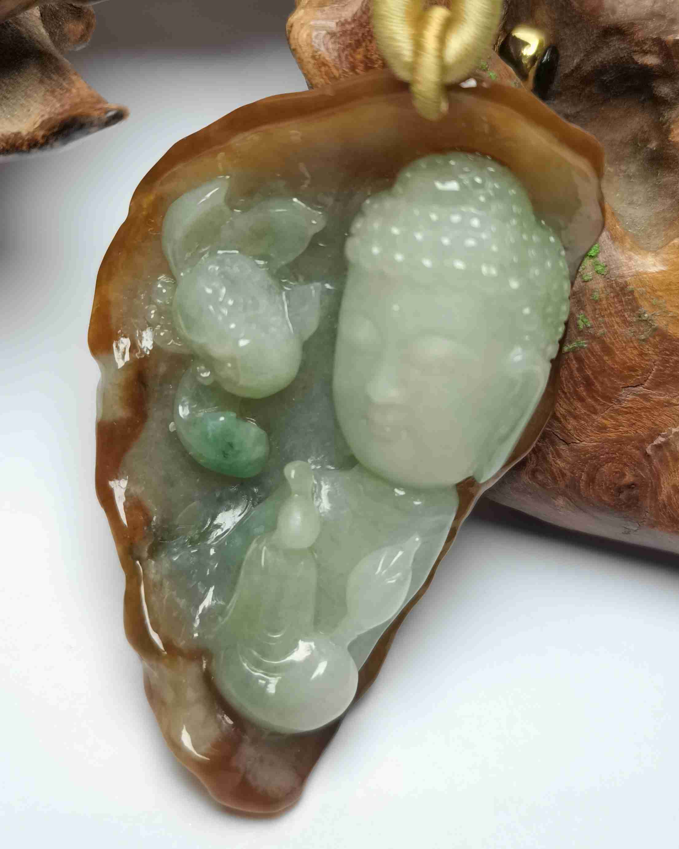 佛观天下