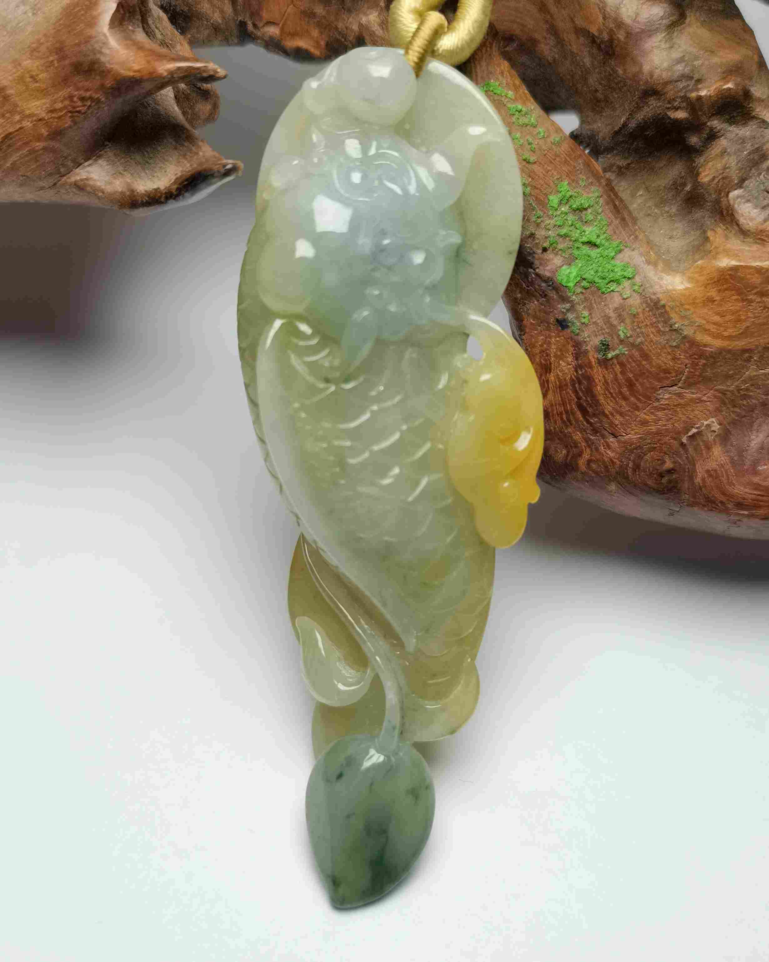 龙鱼