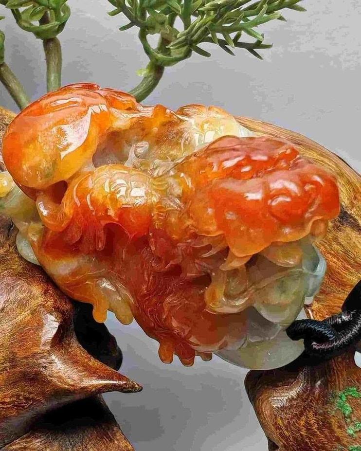 招财进宝