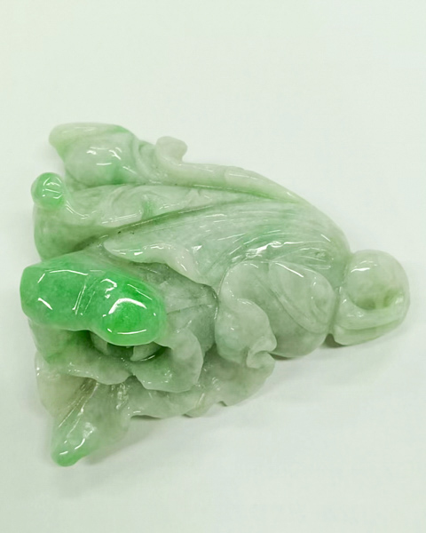 百财聚来