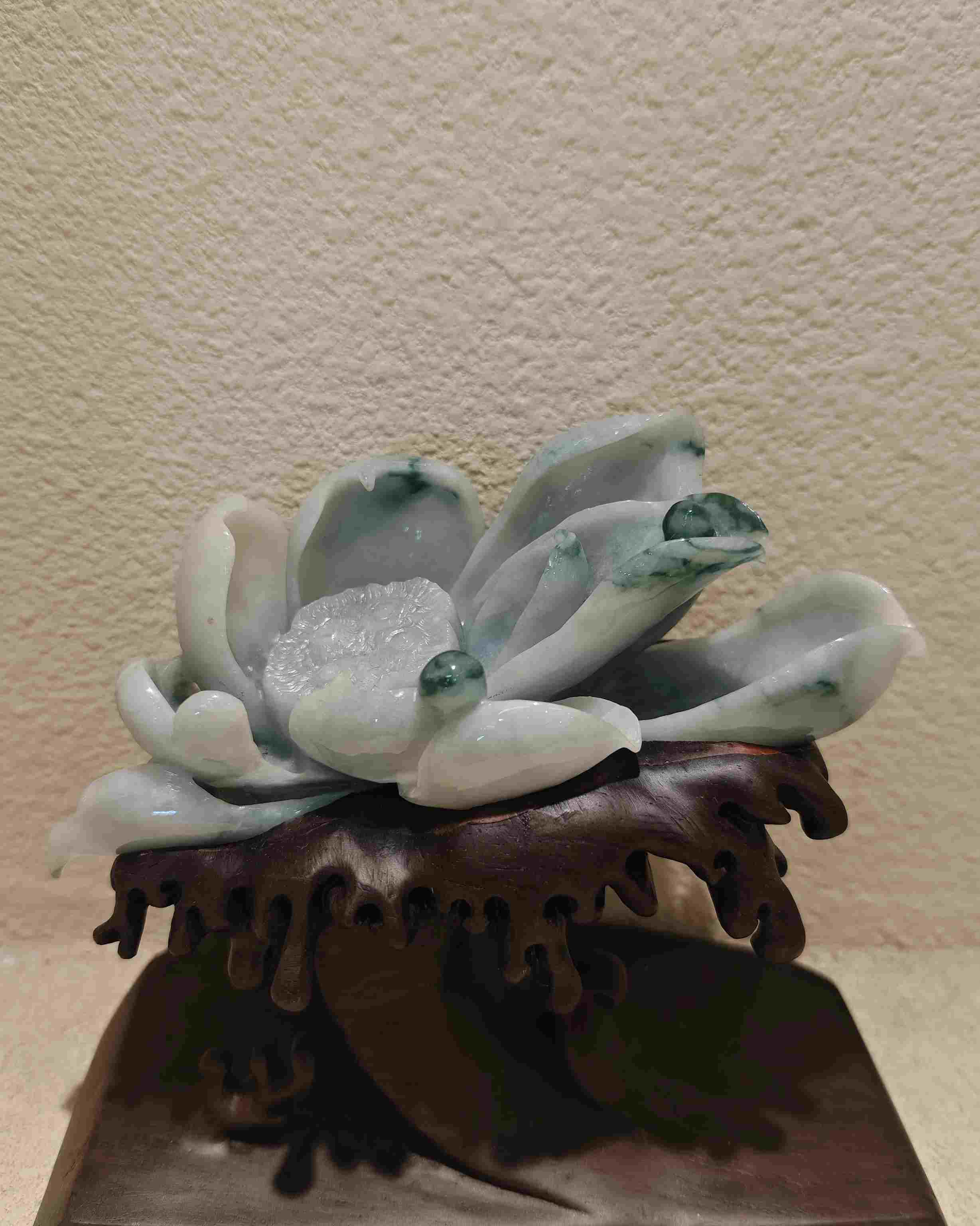 一品青莲