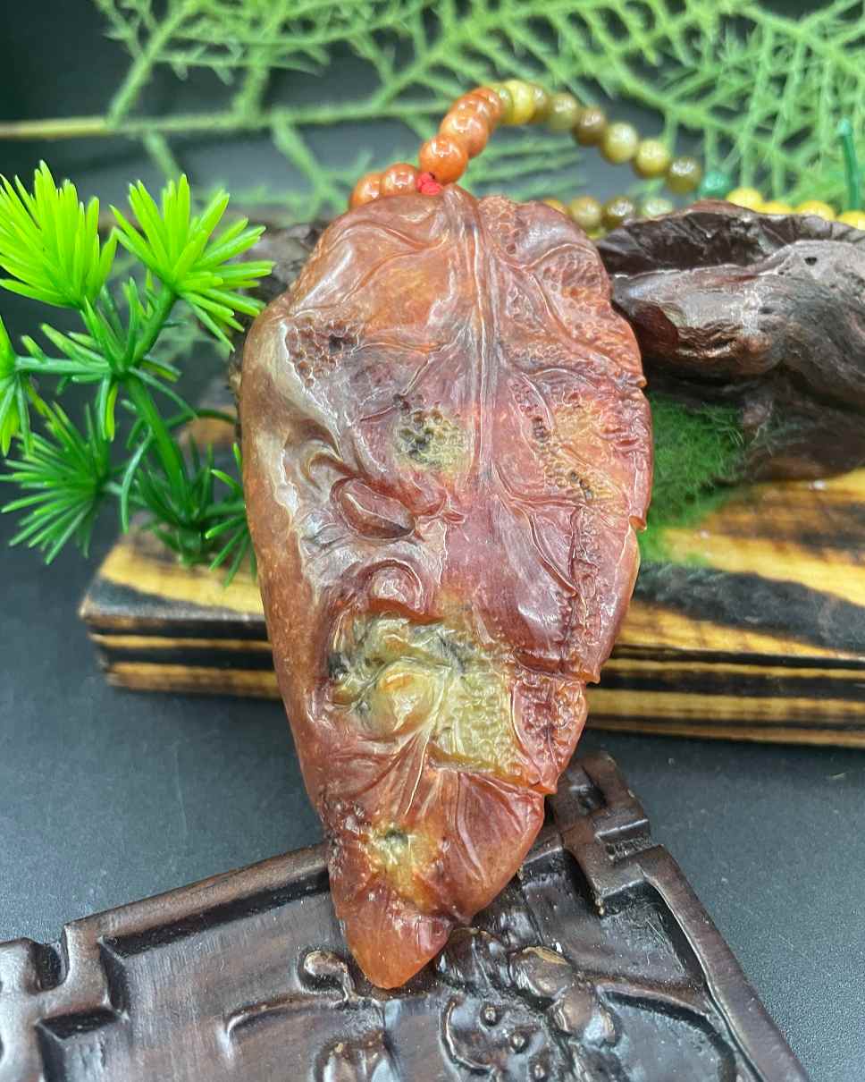 金枝玉叶