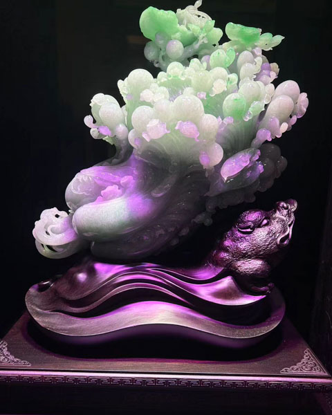 百财聚来