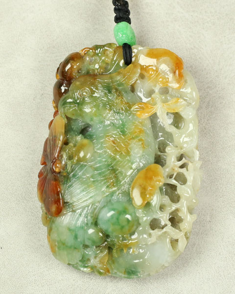 多彩鹦鹉