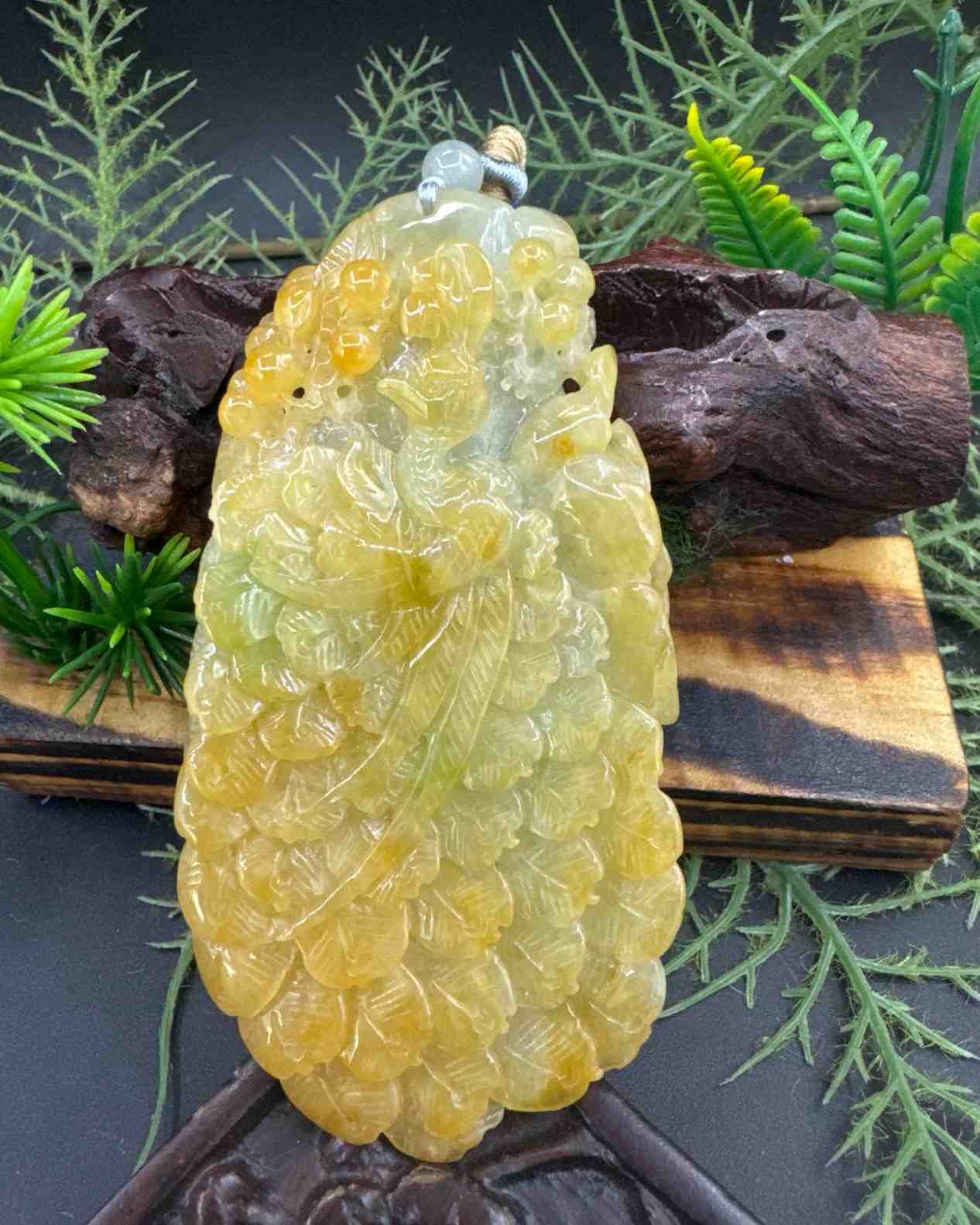 君临天下