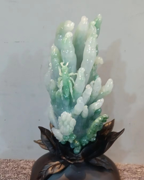 佛手瓜