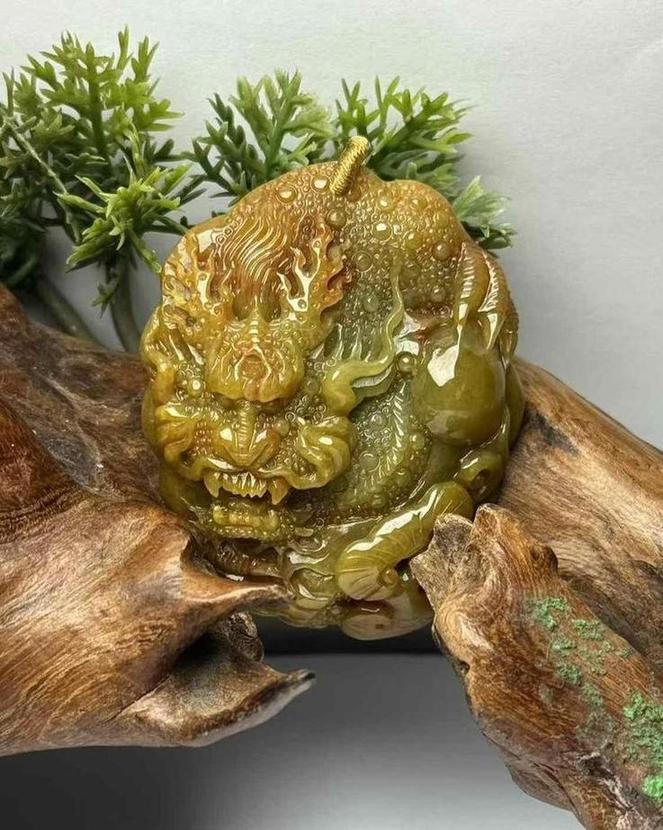 龙观天下