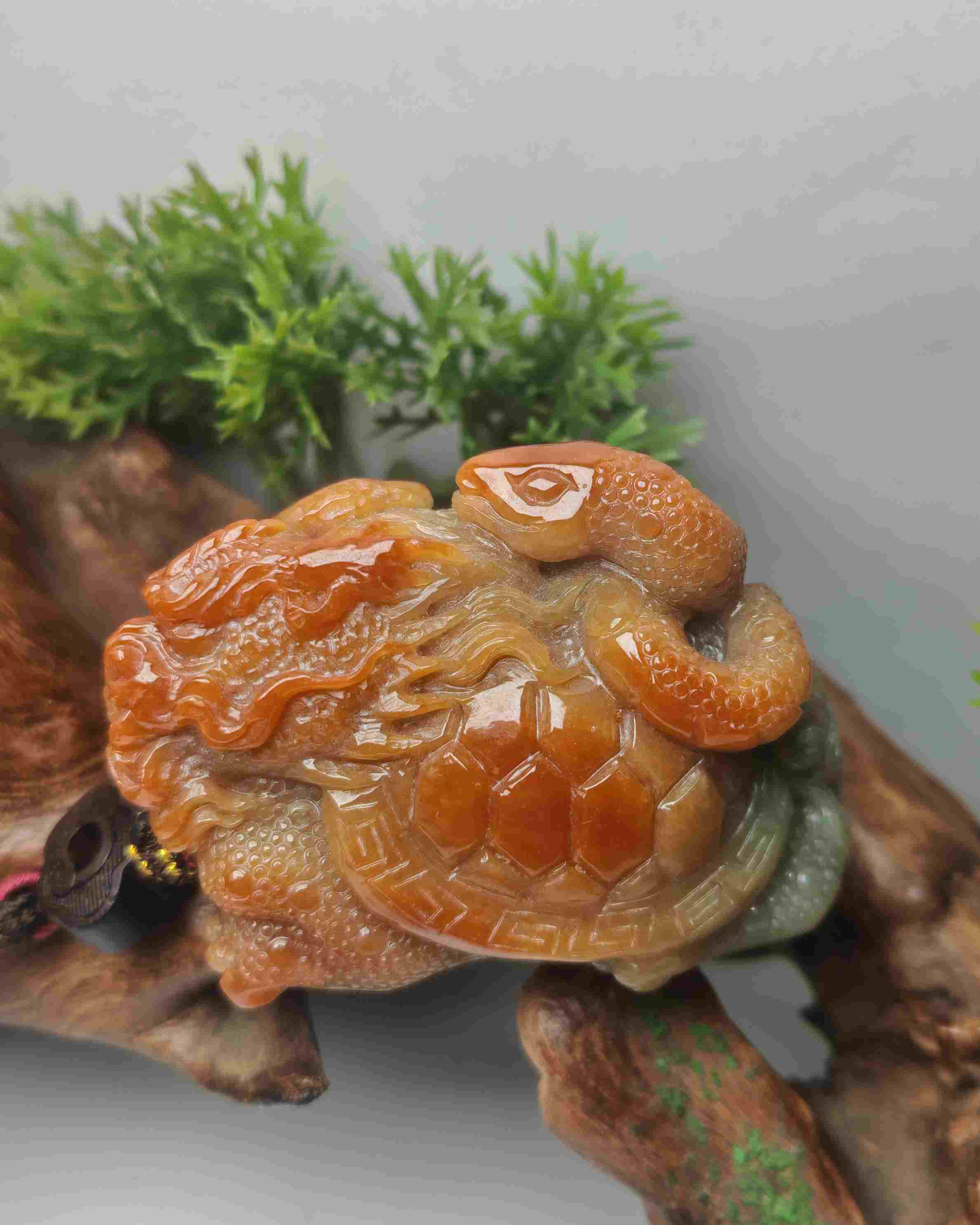 玄武